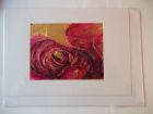 Rose detail<br />A5 appx landscape<br />&pound;10