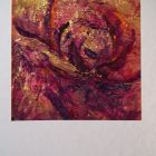 Intense rose detail<br />A6 appx portrait<br />&pound;5