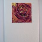 Rose detail<br />A6 appx portrait<br />&pound;5