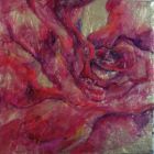 Abstract pink rose